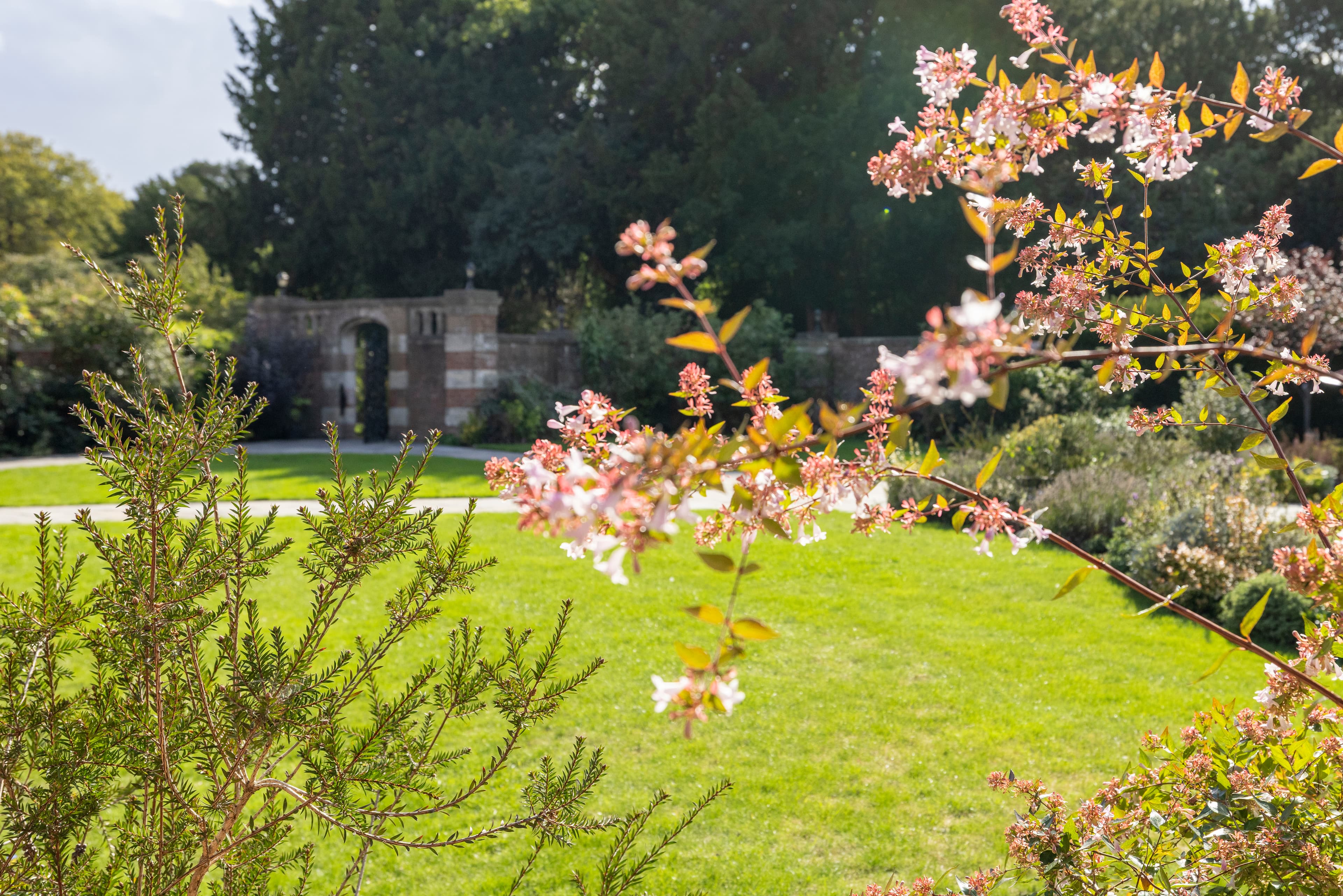 Discover our banquet hall for hire